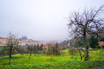 Prague, Czechia - November, 24, 2016: panorama of an old Prague with St. Vitus Cathedral and Prague Castle, Czechia