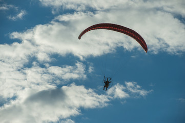 Paramotor flying over the fields in the sky.