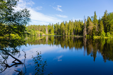 Summer lake on the north of Russia