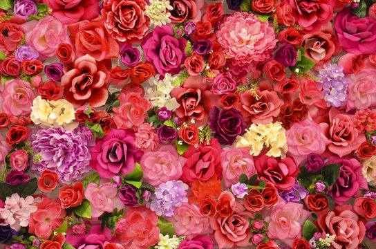 bright background of flowers of roses