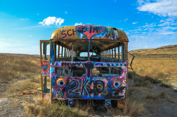 Front of school bus with lots of graffiti.