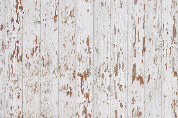 Old painted white wooden fence background texture