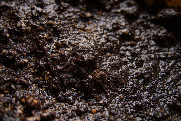 Wet ground in a pot, close-up