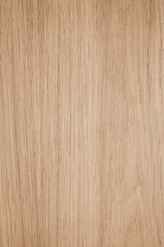 Fototapeta wood texture, oak
