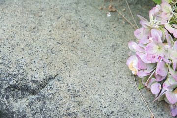 Fototapeta na wymiar Pink flower on the floor top view