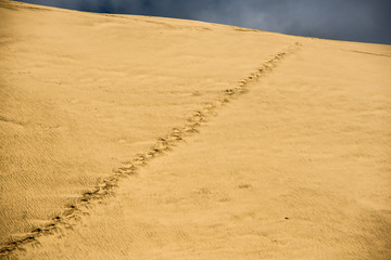 Naklejka premium Steps in time