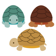 いろいろな方向を向いたカメ