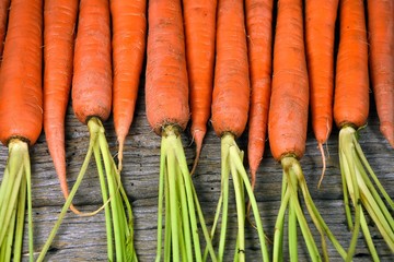 row of raw carrots on rustic wood