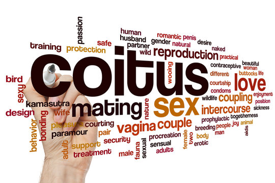 Coitus Word Cloud Concept