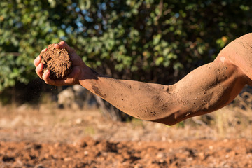 braccio muscoloso stringe una zolla di terra rossa