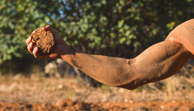 braccio muscoloso stringe una zolla di terra rossa