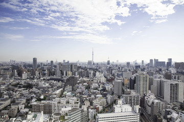 Naklejka na ściany i meble 東京スカイツリーと都市景観