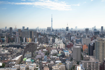 Fototapeta na wymiar 東京スカイツリーと都市景観