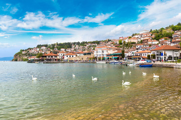 Fototapeta premium White swans on Ohrid lake, Macedonia