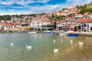 Fototapeta na wymiar White swans on Ohrid lake, Macedonia