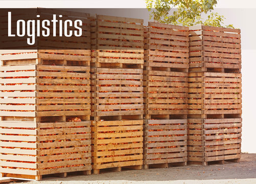 Wooden crates with harvest, outdoor. Word LOGISTICS on background. Wholesale and logistics concept.