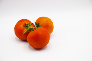 Tomatoes on white background