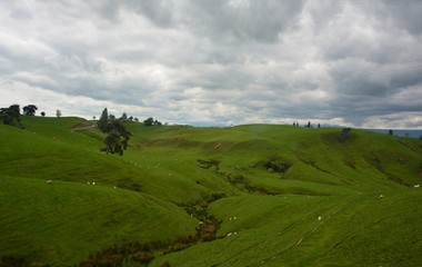 Obraz premium Milford sound, Tekapu lake, landscape views.