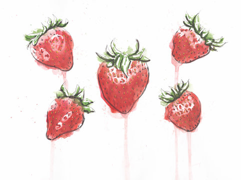 Strawberries drawn in pen and watercolor