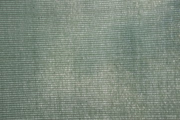 green shading net texture