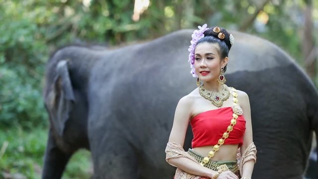 Asian woman with elephant in creek ,Chiang mai Thailand.