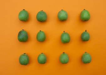 Mini kiwi