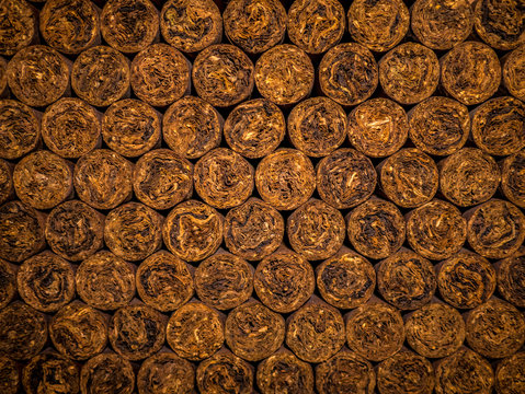 Maturing Cigars