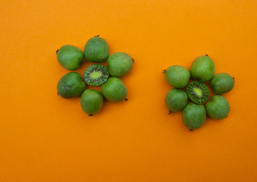 Mini kiwi