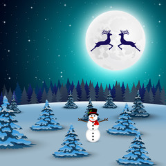 Night christmas forest landscape