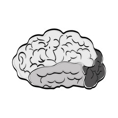 Human brain mind icon vector illustration graphic design