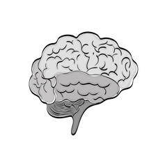 Human brain mind icon vector illustration graphic design