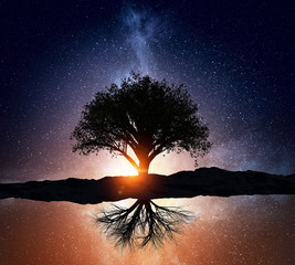 Starry night and tree . Mixed media
