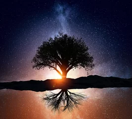 Foto auf Acrylglas Bäume Starry night and tree . Mixed media