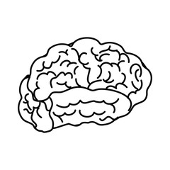 Human brain mind icon vector illustration graphic design