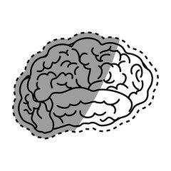 Human brain mind icon vector illustration graphic design