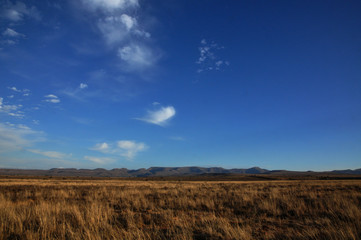 Fototapeta na wymiar Mountain Zebra National Park