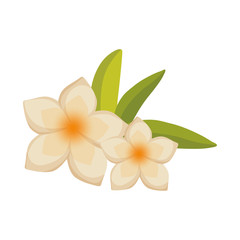 beautiful natural flower icon vector illustration graphic design