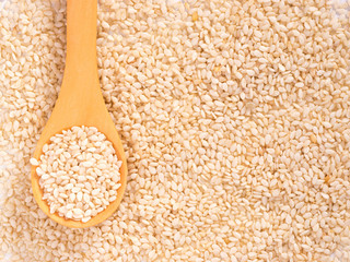sesame background
