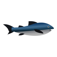 Fish icon. Sea life ecosystem fauna and ocean theme. Isolated design. Vector illustration