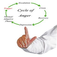cycles of anger