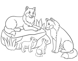 Fototapeta premium Coloring pages. Mother and father wolves with their babies.