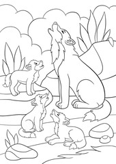 Coloring pages. Father wolf howls with his little babies.