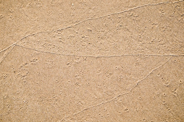 Golden brown sand on beach