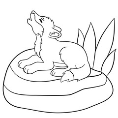 Coloring pages. Little cute baby wolf howls.