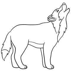 Coloring pages. Cute beautiful wolf howling.