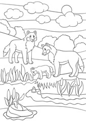 Coloring pages. Mother and father wolves look at their baby.