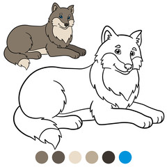 Color me: wolf. Cute beautiful wolf smiles.