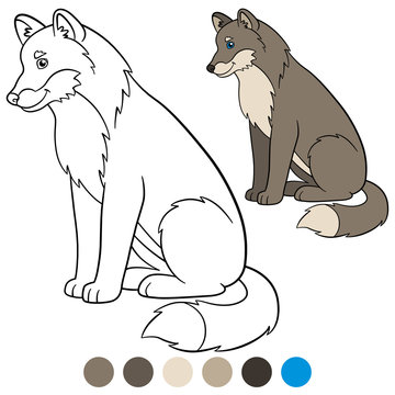 Color me: wolf. Cute beautiful wolf smiles.