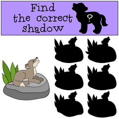 Naklejka premium Educational game: Find the correct shadow. Little baby wolf howl