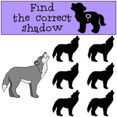Educational game: Find the correct shadow. Cute beautiful wolf h
